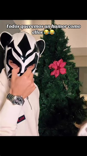 #viral #panda #valeria #parati | panda