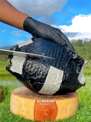 Discover the Beauty of Unique Coconut Colors