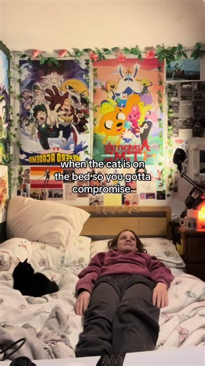 Tiny Cat and Space Management Challenges