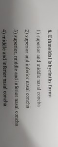 Ethmoidal labyrinths form:1) superior and middle nasal concha... | Filo