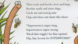 Superworm By Julia Donalsdson
