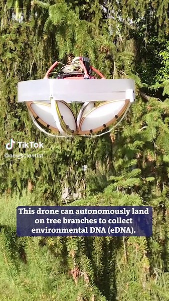 This sticky drone captures environmental DNA (eDNA) samples from tree canopies to monitor biodiversity 🤖🌲🧬⁠ ⁠ Built with a specialised cage that contains force sensors and a sticky surface to collect eDNA, the drone has been tested successfully in the field, collecting 14 samples and identifying eDNA from 21 land animal taxa.⁠ ⁠ Tap the link in our bio to learn more.⁠ ⁠ #drones #environment #genetics #biodiversity⁠ #learnontiktok #science #sciencetok #robots #robotsontiktok #learnitontiktok