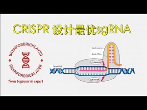 【生信进阶之路｜工具篇 01】如何设计用于基因/蛋白质敲除的最优 sgRNA？