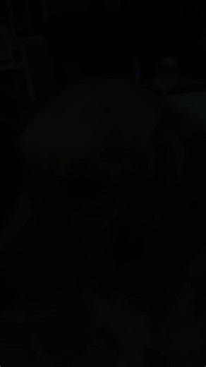 Cully (@julescully)’s videos with original sound. - Dezalyr