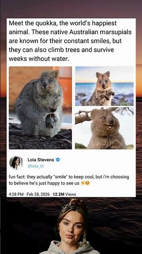 Meet the quokka, the world's happiest animal. These native Australian marsupials are known for...