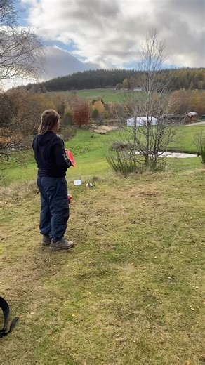 This pretty much sums up how it went in round 2/4 at Craggan for Hyzer in the Highlands, too windy and open for me, kept finding bushes and missing putts, 2 shots behind the lead at this point… still got 2 rounds to go… #discgolf #maverick #teamlefty #teamglen #discgolfeveryday #scotland #discgolfaddict #pdga #discgolfshots #highlands #scottishdiscgolfassociation #invernessdiscgolf | Maverick Beaumont