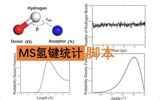 MS氢键统计脚本HBonds.pl 氢键键长键角数量统计 PDF | Materials Studio脚本特训营 | 华算科技-MS杨站长