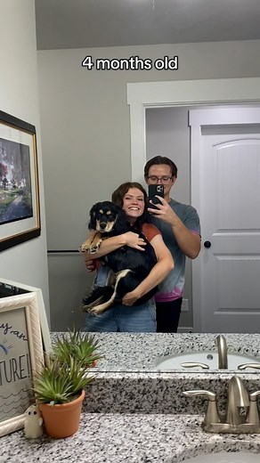 AllAroundAudrey on Instagram: "Watch our puppy grow up in under 20 seconds 🥲 #puppy #dogsofinstagram #growingup"