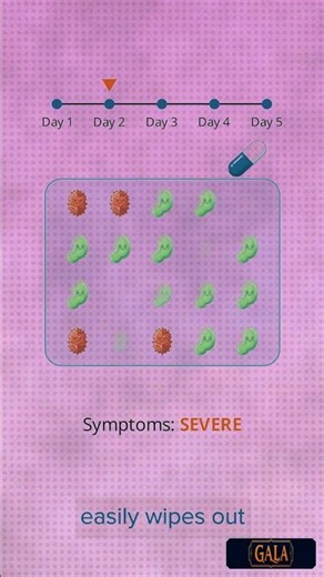 Grade 8 Science Revision Topic 21: Antibiotics and Antibiotic Resistance