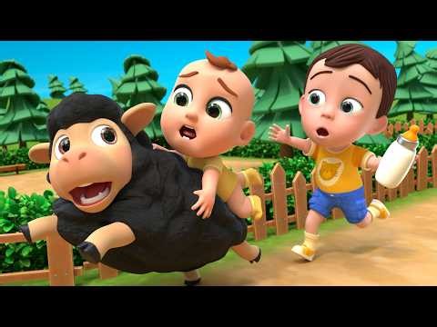 Baa Baa Black Fluffy Sheep! | Lalafun Nursery Rhymes & Kids Songs