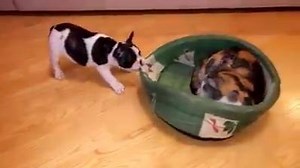 1.2K views · 11 reactions | My Bed ! | Fun World | Facebook