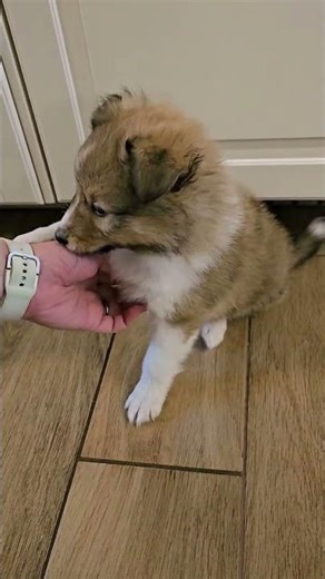 ein Mal kraulen, bitte 🥰