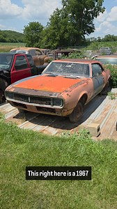 8K views · 2.4K reactions | Ever hear of a P-Code Camaro? They were the first Camaros to get the 350 ci V8! I had no idea until I researched it more. This one was fortunately rescued from heading to the junkyard 20 years ago. #camaro #chevrolet #ss #autoarchaeology #yardfind #yardart | The Auto Archaeologist | Facebook