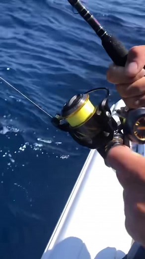 Penn Authority 🔥 #penn #pennreels #pennauthority #kedaipancing #Djoran #batupahat #fyp