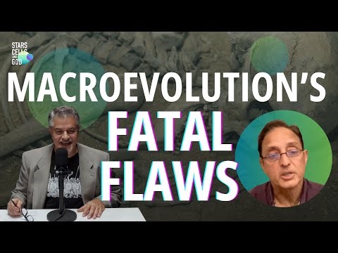 Why Macroevolution Doesn’t Work