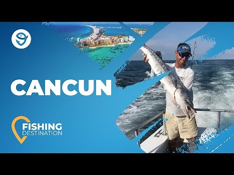 Fishing in Cancun: All You Need to Know | FishingBooker