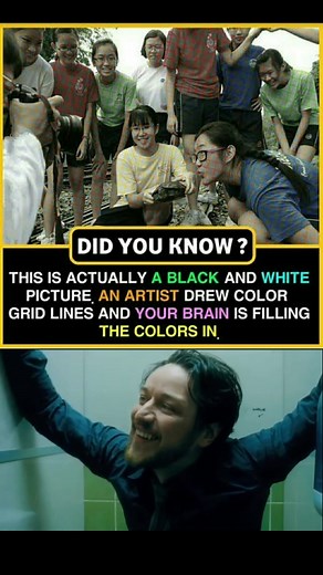 5.3K views · 23 reactions | 易 Mind-Blowing Fact! This picture looks colorful… but guess what?  It’s actually a black and white photo!  An artist simply added colored grid lines, and your brain automatically filled in the colors — creating the illusion of a full-color image. That’s how powerful and creative your brain really is! 易✨ #OpticalIllusion #BrainFacts #MindTricks #VisualIllusion #DidYouKnow #AmazingFacts #ScienceIsCool #MindBlown | Science Worl | Facebook
