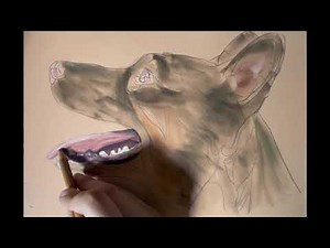 How to Draw a Dog’s Open Mouth in Pastels