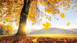 Goldener Oktoberstart mit viel Sonne - Das Wetter in 60 Sekunden