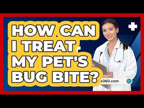 How Can I Treat My Pet's Bug Bite?