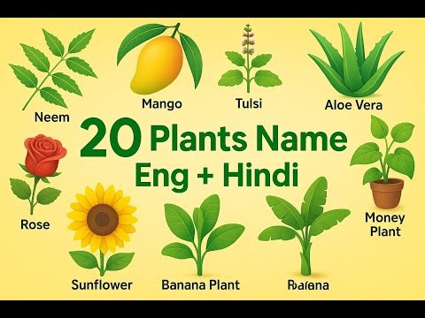Plants Name | 20 Plants names | Plants Name in English with pictures