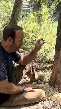 Doing a C4 demo for the kids #c4 #explosion #pyrotechnics