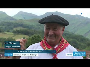 Pays basque : la finale du concours de chiens de berger à Baigorri