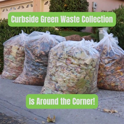 🍁 Curbside Green Waste Collection is coming up soon! ♻️ From December 1–12, City of Albuquerque residents will have two opportunities to set out their green waste for curbside pickup. Now’s the time to get out in your yard, rake up those leaves, and gather your grass clippings, weeds, and branches. 🌿 ✅ You’ll have two collection chances during the first two weeks of December. ⚠️ Be sure to follow the green waste guidelines so your materials can be collected — and remember, green waste should n