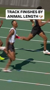 102K views · 269 reactions | The math ain’t normal. Because neither are the margins. Yeah… we’re measuring finishes in animals again.  | Grand Slam Track | Facebook