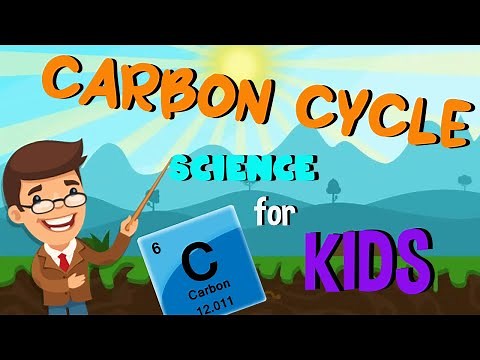 What is Carbon and The Carbon Cycle Process | Science for Kids