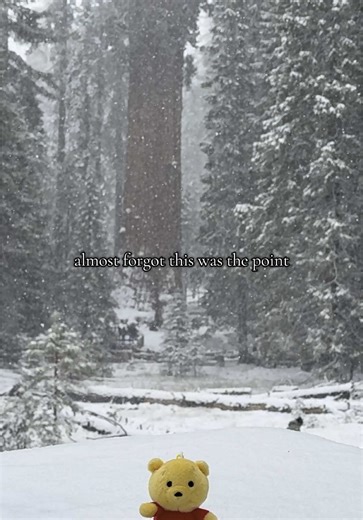 poohs._.adventures on TikTok