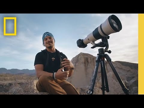 Scouting for Wildlife in Big Bend National Park | National Geographic