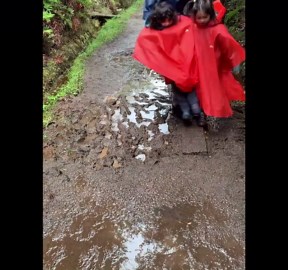 Little girl falls into mud in at a national park in Chiloé, Chile