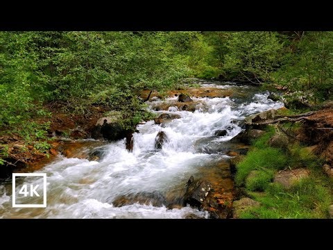 Gentle Mountain Stream River | 4K Flowing Water Nature Sounds | Natural White Noise for Sleep Study