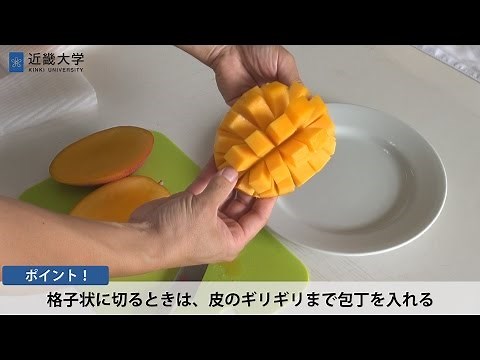 “激ウマ”マンゴー育成、近大流ベランダ栽培講座｜世の中の役に立つ近大公開講座vol.4