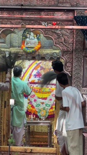 श्याम सरकार 🌹❤️💯💫#jaishreeshyam #shyam #khatushyam #khatudham #khatu