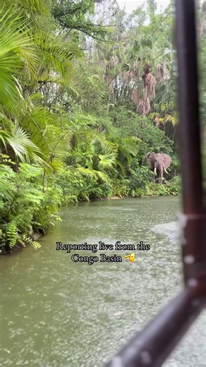 So where yall at?! 👀😂 #ashdykes #congobasin #congoriver #junglecruise #disney