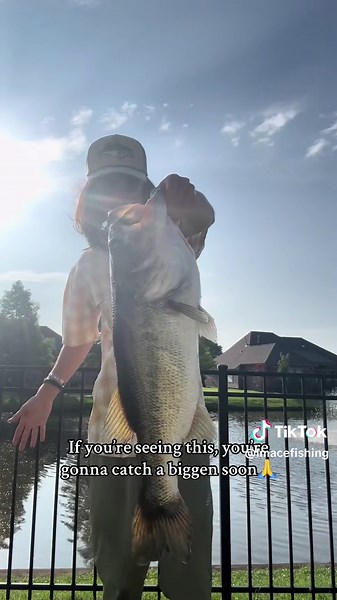 Bass Fishing Tips for Catching Big Fish