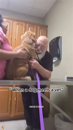 INMEMESTAGRAM on Instagram: "日本利用压电瓷砖将人们的脚步转化为电能。 这些瓷砖能够捕捉你脚步产生的动能。 当你行走时，你的体重和动作会对瓷砖产生压力。 瓷砖会轻微弯曲，产生机械应力。 瓷砖内部的压电材料会将这种应力转化为电能。 每一步都会产生少量电荷，数百万步加在一起，就能产生足够的电力来驱动 LED 灯、数字显示屏和传感器。 在像涩谷车站这样人流密集的地方，每天大约 240 万步都在为这个系统做贡献。 这些电力可以储存起来或立即使用，从而减少对传统能源的依赖，并支持可持续的城市基础设施。 这种方法把日常的动作转化为实用的可再生能源。 #日本 #知识 #事实 #你知道吗 #推荐 #科技 #创新 #历史 #技术 #实验"