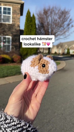 Handmade Crochet Plushies for Hamsters: A Tribute to Astro 🐹