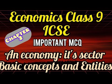 An Economy: Its Sectors & Entities | Class 9 Economics MCQ Revision ✨"