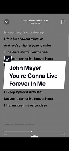John Mayer's You're Gonna Live Forever In Me Analysis