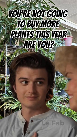 So many people say this to me. Like why do you need more plants? Truth is maybe I don’t need more but I do WANT more & that’s what matters 😝😂#MemeCut #joekeery #crazyplantlady #plants #plantsmakepeoplehappy