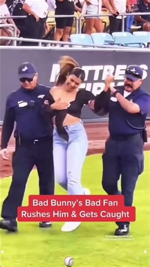 FAN INTERFERENCE#foryou#mlb#sports#baseball#fan