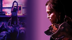 Dogman, cast e trama film - Super Guida TV