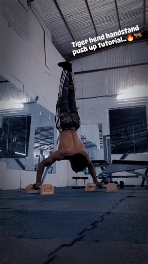 Tiger Bend Handstand Push Up Tutorial for Strength