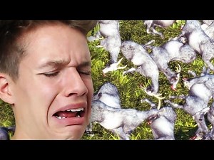 ALLE ZIEGEN GETÖTET