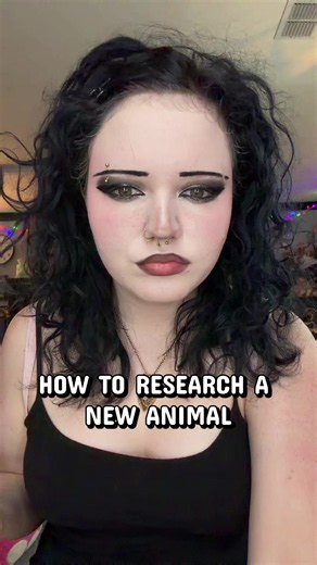 How to Research a New Pet: Lifespan, Diet, Illness & Enclosure