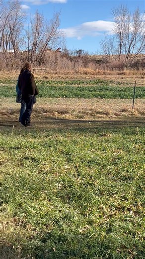 Suzanne Bailey on Reels