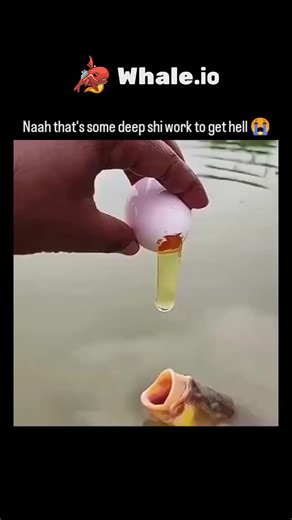 Zahan on Instagram: "The post showcases a 10-second video of a hand cracking a raw egg directly into the gaping mouth of a common carp in shallow water, with the fish eagerly swallowing the yolk, blending humor and mild shock value for viral appeal. - Quoting an unrelated fidget toy demonstration video from another user, this clip from @11Pics_—an Arabic account curating addictive visuals—exploded to over 1 million views in under 24 hours, driven by shares in ASMR and animal oddity communities.